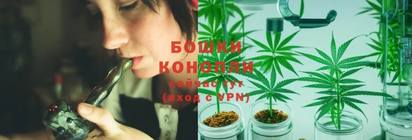 ПСИЛОЦИБИНОВЫЕ ГРИБЫ Заволжск