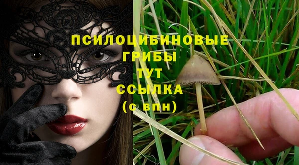 соль курить ск Заволжье