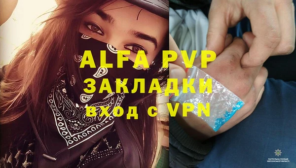 ПСИЛОЦИБИНОВЫЕ ГРИБЫ Заволжск