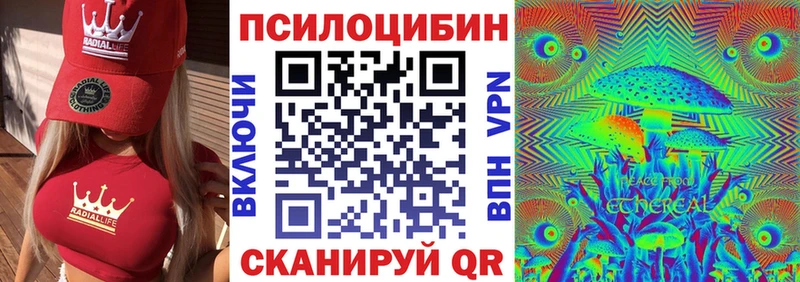 Купить где  Каневская  Псилоцибиновые грибы прущие грибы 