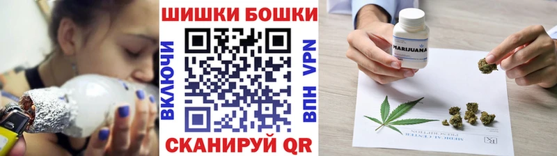 Бошки Шишки SATIVA & INDICA  Купить закладки  Каневская 